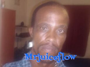 Mrjuiceflow
