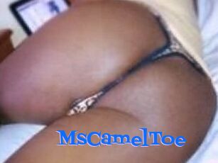 MsCamelToe