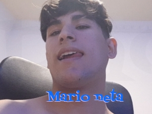 Mario_neta