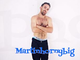 Martinhornybig