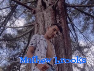 Mathew_brooks