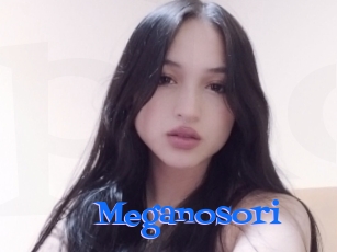 Meganosori