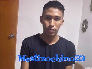 Mestizochino23