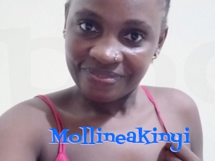 Mollineakinyi