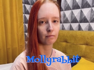 Mollyrabbit