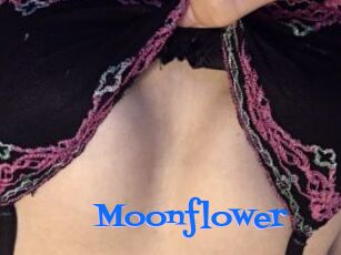 Moonflower