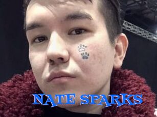 NATE_SPARKS