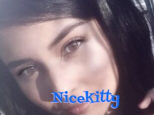 Nicekitty