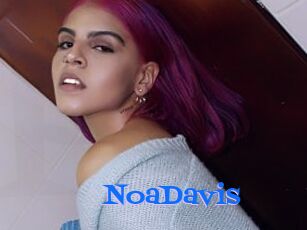 NoaDavis
