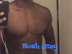 Noah_Grey