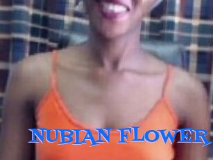 _NUBIAN_FLOWER_