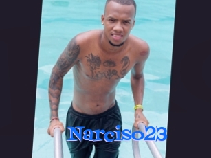 Narciso23