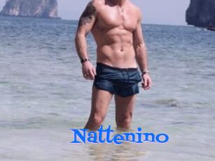 Nattenino