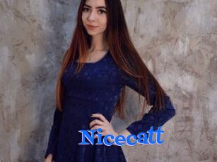 Nicecatt