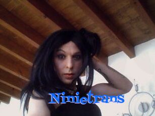 Ninietrans