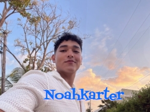 Noahkarter