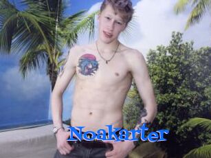 Noakarter