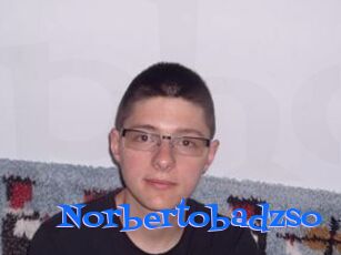 Norbertobadzso