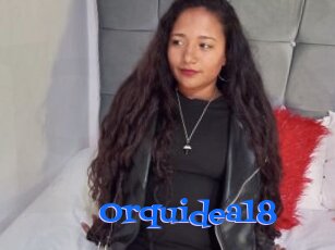 Orquidea18