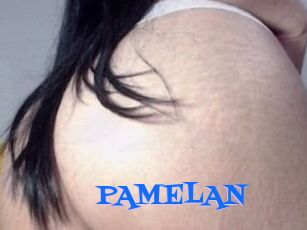 PAMELA_N