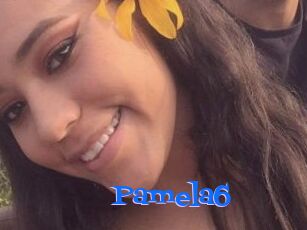 Pamela6