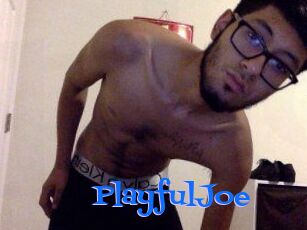 PlayfulJoe