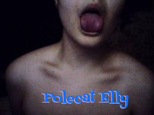 Polecat_Elly