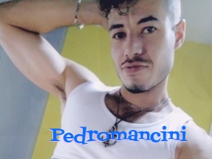 Pedromancini