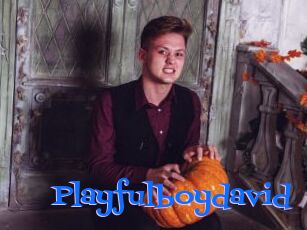 Playfulboydavid