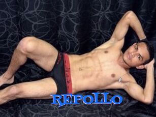 REPOLLO