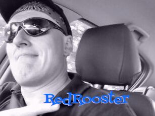 RedRooster