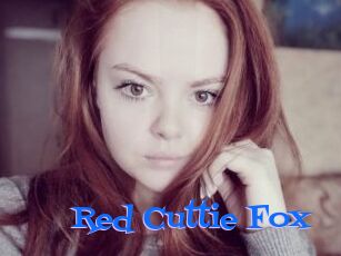 Red_Cuttie_Fox