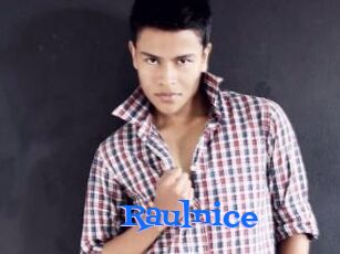 Raulnice