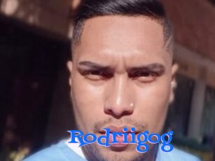 Rodriigog