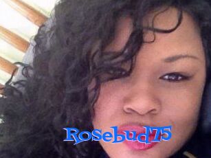 Rosebud75