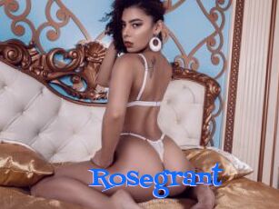 Rosegrant