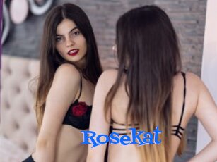 Rosekat