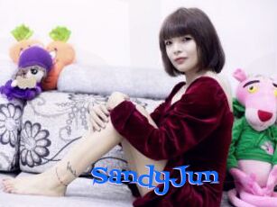 SandyJun