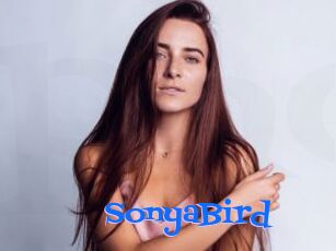 SonyaBird