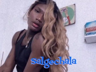 Salgechala