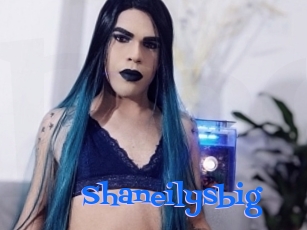 Shaneilysbig