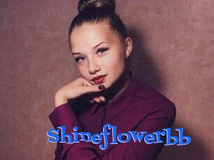 Shineflowerbb