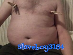 Slaveboy3164