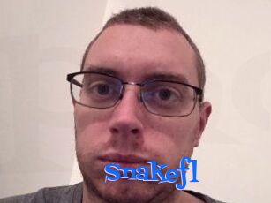 Snakefl