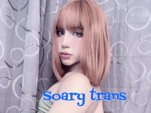 Soary_trans