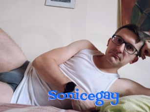 Sonicegay