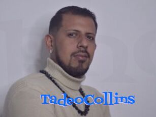 TadeoCollins