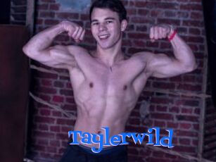 Taylerwild