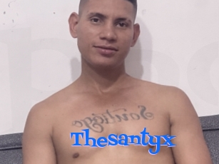 Thesantyx