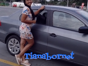 Tianabornet